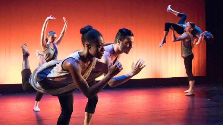 Dance Bfa Degree Programs Dean College